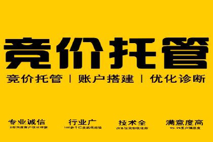 sem托管服务案例：如何实现低成本高回报的广告投放